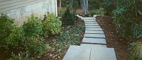 123p55planting1